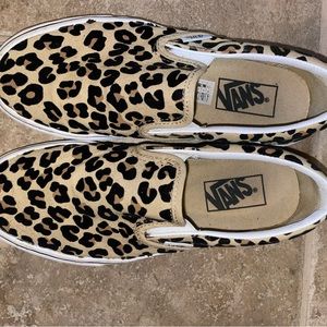 Cheetah print vans